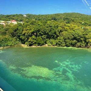 Meet your Posher, Latasha